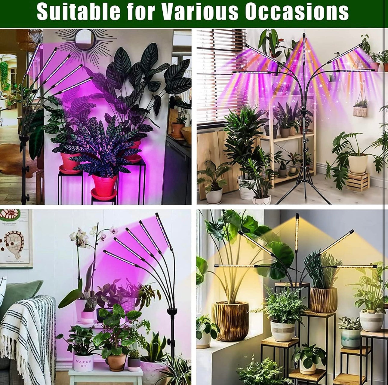 KEELIXIN 5-Head Adjustable LED Plant Lights, Full Spectrum Lamp with Timer for Indoor Plants, Warm White Grow Light for Various Plants